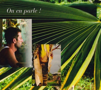 Mon Jardin & ma maison article pictures. Philippe and coconut palms.