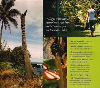 Mon Jardin & ma maison article pictures. Philippe and coconut palms.