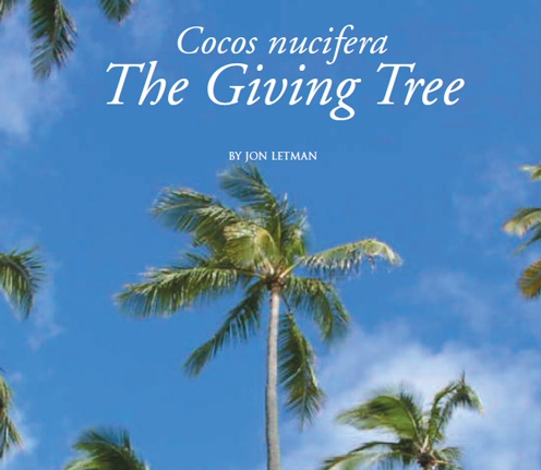 Article Image-coco tree